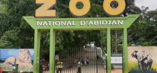 gestion-mauvais-etat-des-lieux-animaux-mal-nourris-letat-annonce-la-renaissance-du-zoo-dabidjan